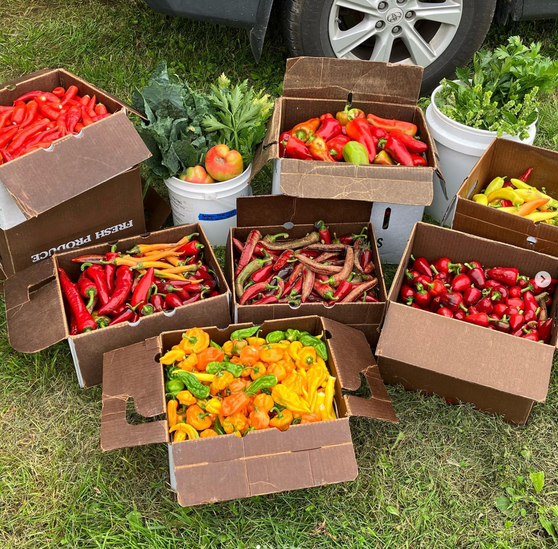 Add-On Product: Off Type Sauce & Spice