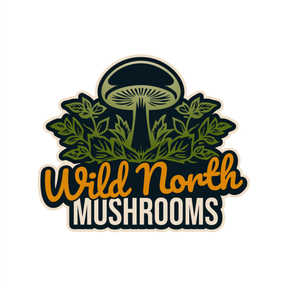 Wild North Mushrooms