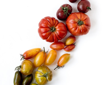 $10/week Pay What You Can Donation