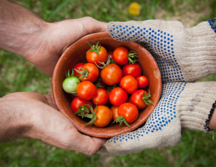 $5/week Pay What You Can Donation