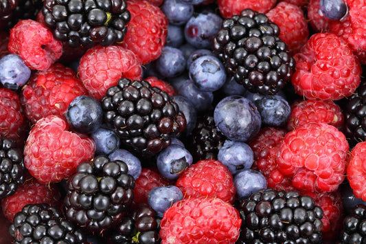 University of St. Thomas Study Confirms the Impact of BrightSide’s Food as Medicine Program