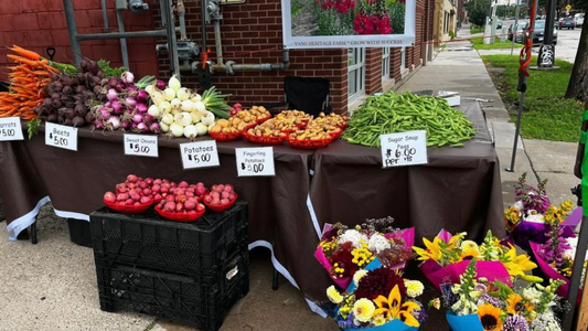 Farmers market stand