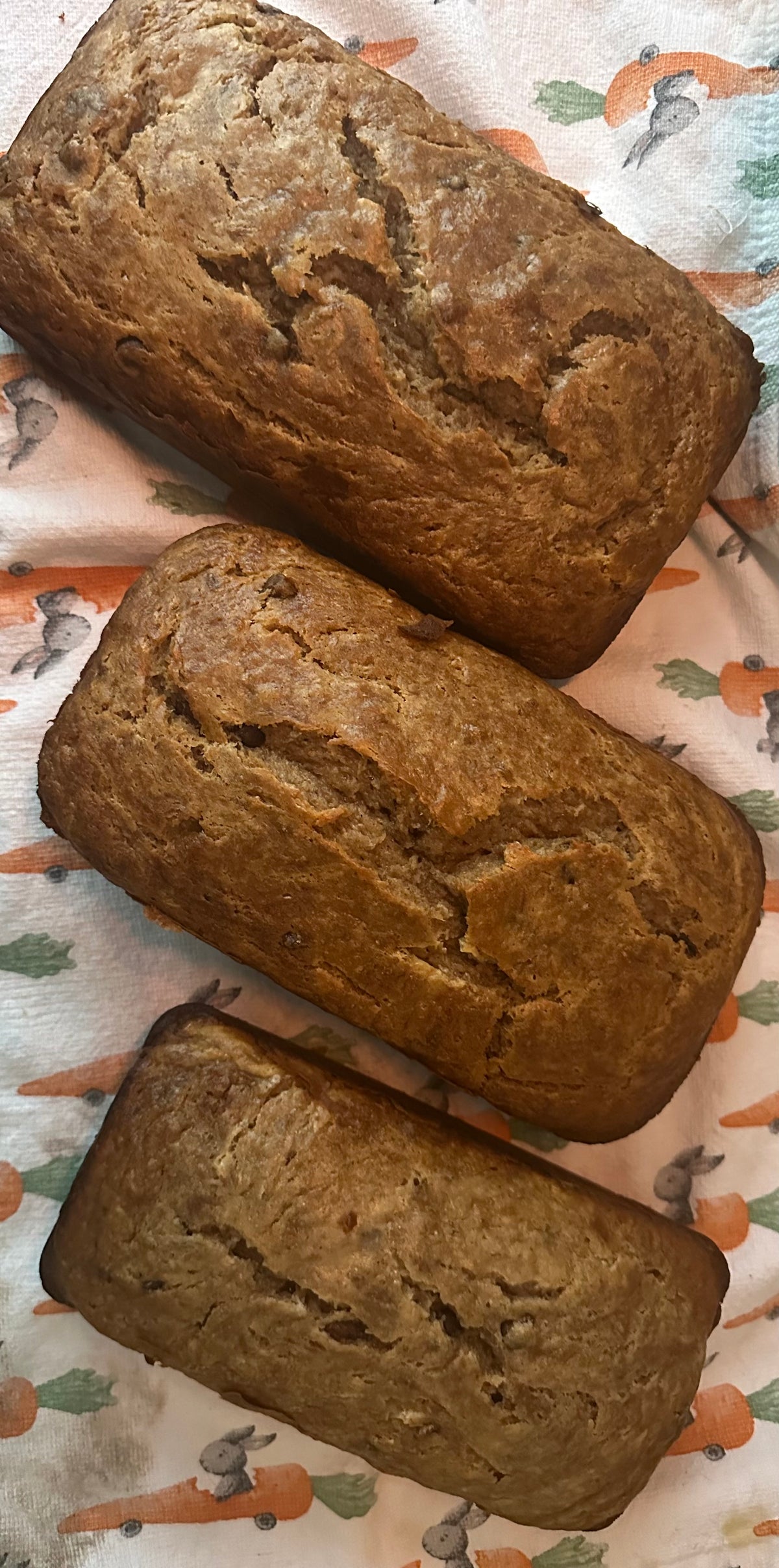 DarkSide Banana Bread
