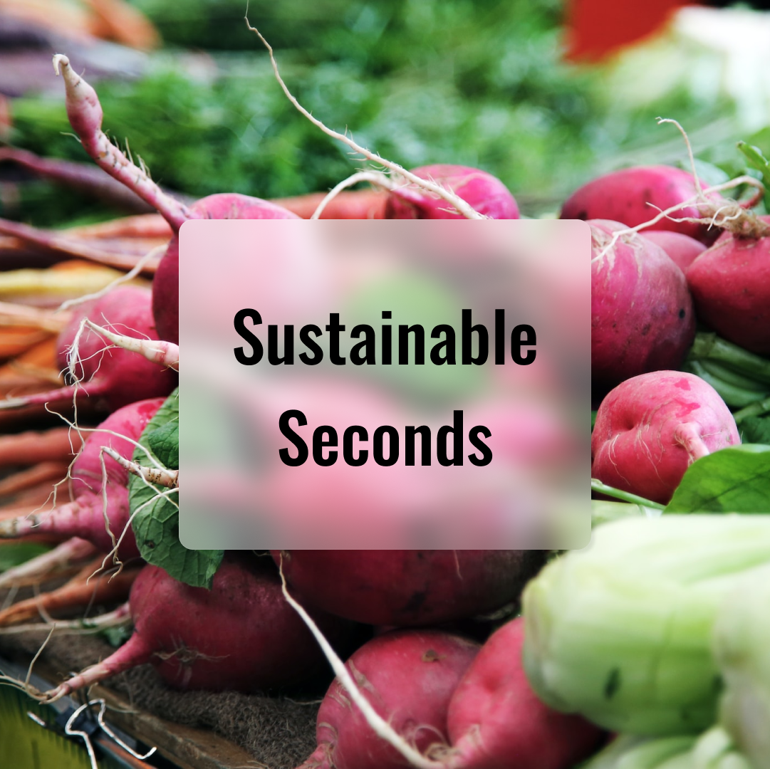 Sustainable Seconds