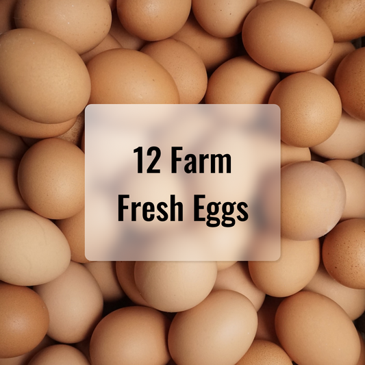 Locally sourced free range eggs available with BrightSide Produce Online Farmers Market produce bundles.